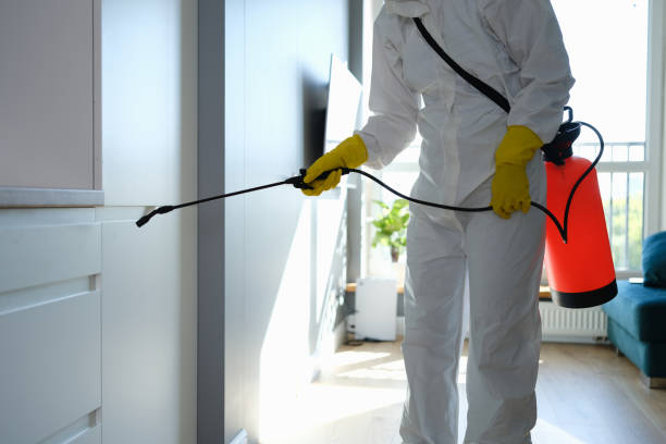 Trusted Riverview, MI Mold Remediation Experts